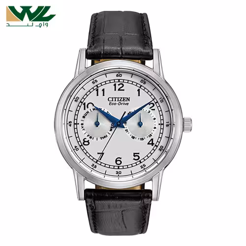 ساعت سیتیزن AO9000-06B