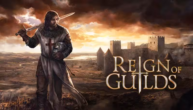 سی دی کی اورجینال بازی Reign of Guilds کامپیوتر (PC)