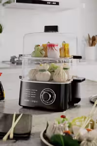 بخار پز مودکس تحت لیسانس انگلستان مدل FS300 MODEX