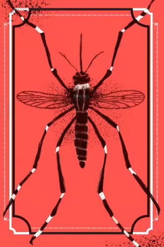 خرید و دانلود نسخه کامل کتاب O mosquito: A incrível história do maior predador da humanidade