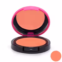 رژ گونه کالیستا مدل Color and Art شماره B04