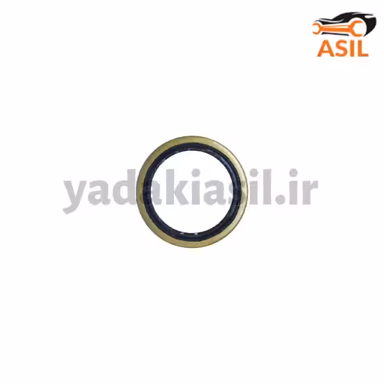 کاسه نمد چرخ عقب پراید ODM