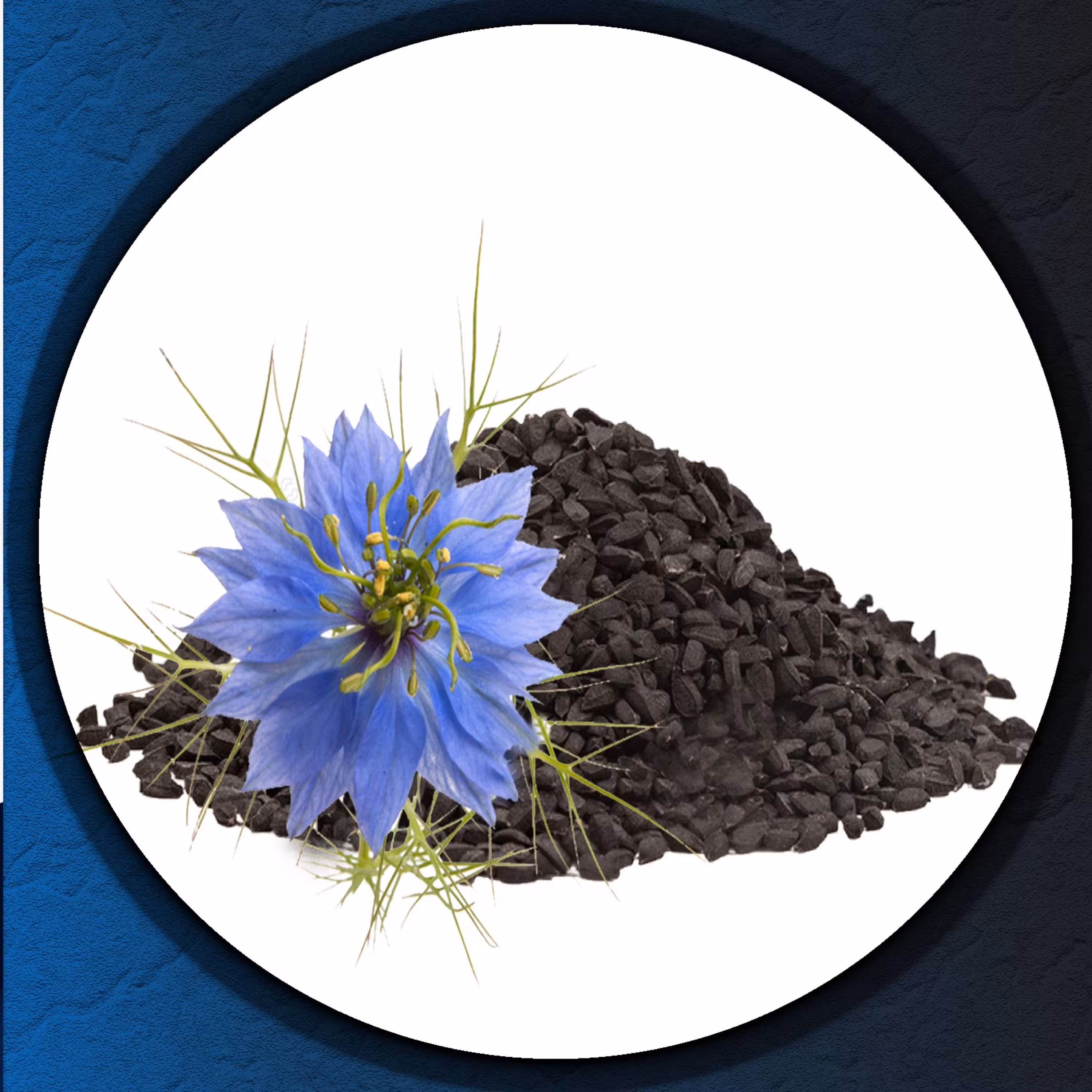 سیاهدانه سوری 1000 گرمی