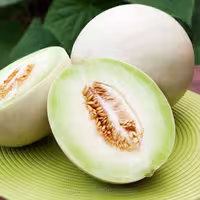 بذر خربزه هانی دیو با گوشت سبز