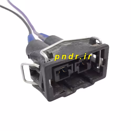 سوکت 2 فیش