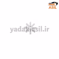 پروانه پیکان 8 پر اوژن