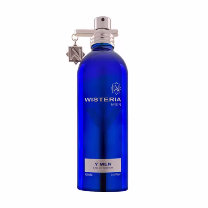 ادوپرفیوم ویستریا وای من  Wisteria YMEN مردانه حجم 100 میلی لیتر Wisteria YMEN  Eau De Perfum 100ml for Men