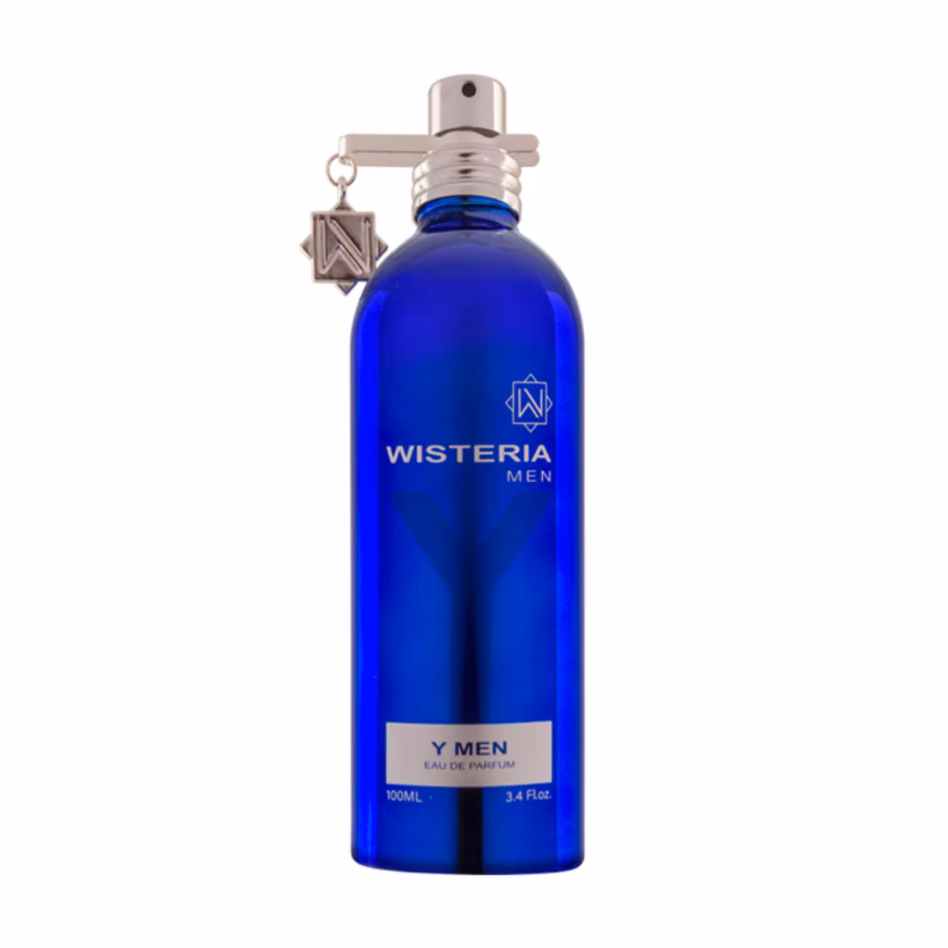 ادوپرفیوم ویستریا وای من  Wisteria YMEN مردانه حجم 100 میلی لیتر Wisteria YMEN  Eau De Perfum 100ml for Men