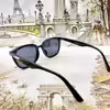 عینک آفتابی مدل ZN3603blbl