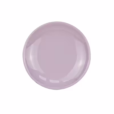 بشقاب سرامیکی طرح پلوخوری مدل پاستلو بسته 6 عددی