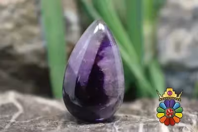 امتیست تراپیچ