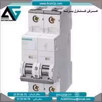 کلید مینیاتوری تایپ C مدل 5SY5210-7 زیمنس