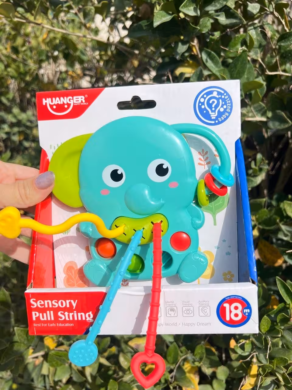 دست ورزی بیزی بال فیلی هانگر