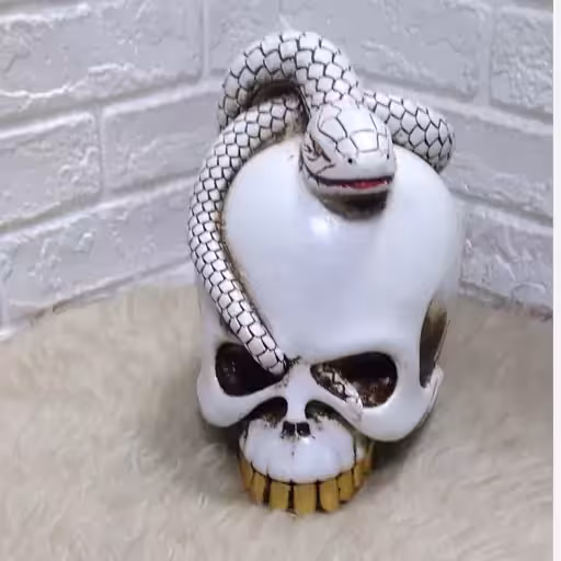 مجسمه جمجمه اسکلت و مار