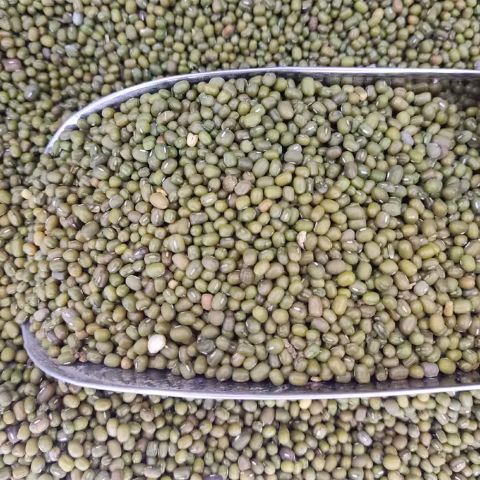 ماش اعلا و زودپز 500 گرمی 