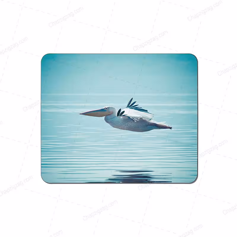 خرید و قیمت ماوس پد طرح پلیکان کد 3498