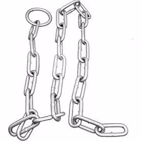 زنجیر فرمان نمره 6