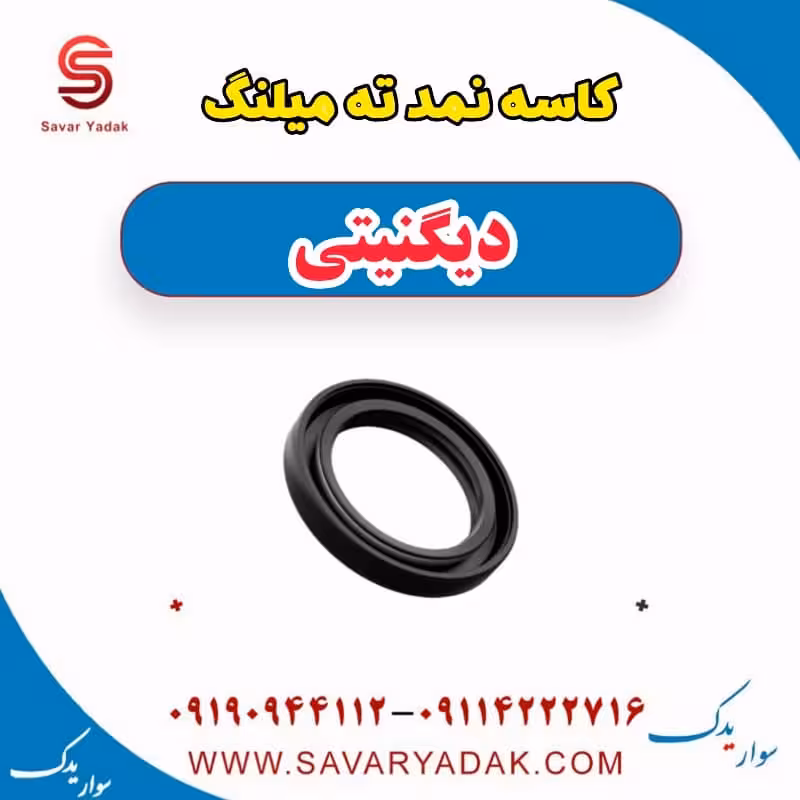 کاسه نمد ته میلنگ دیگنیتی
