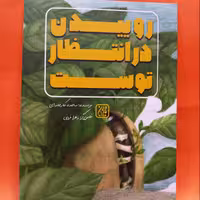 کتاب روییدن در انتظار توست نوشته ساجده کارخانه ای انتشارات جمکران 