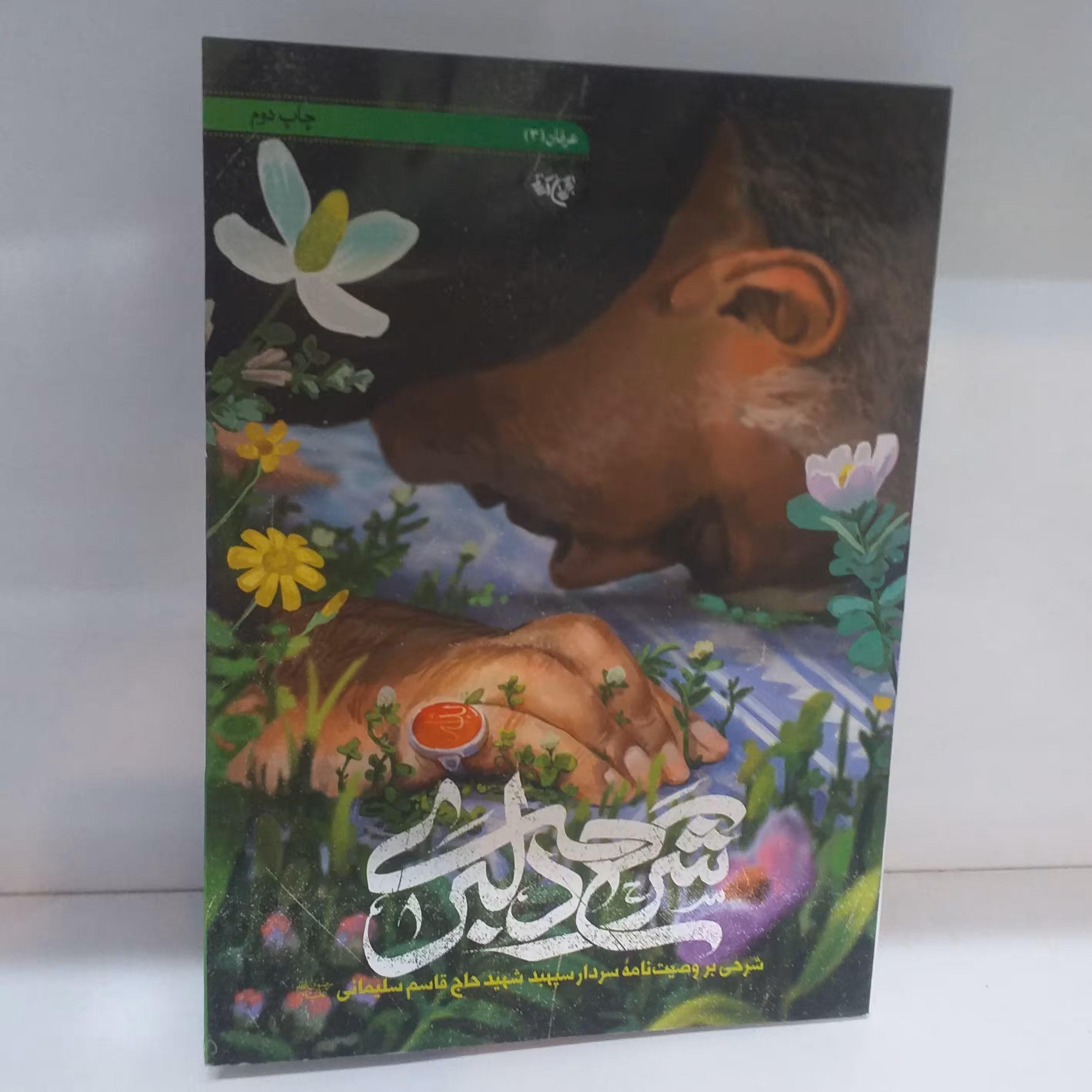 شرح دلبری/جلد نرم