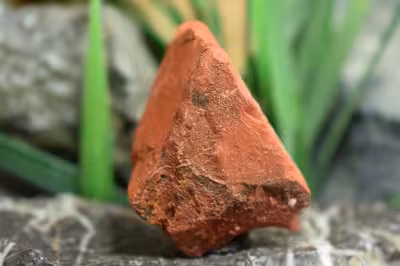 راف جاسپر قرمز