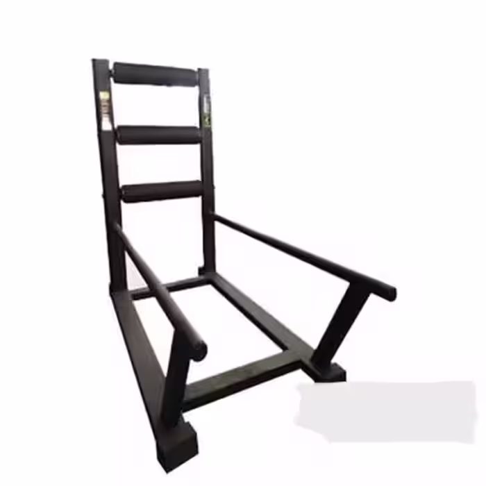 شنا سوئدی مبارز