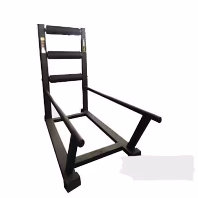 شنا سوئدی مبارز