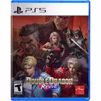 Double Dragon Revive – PS5