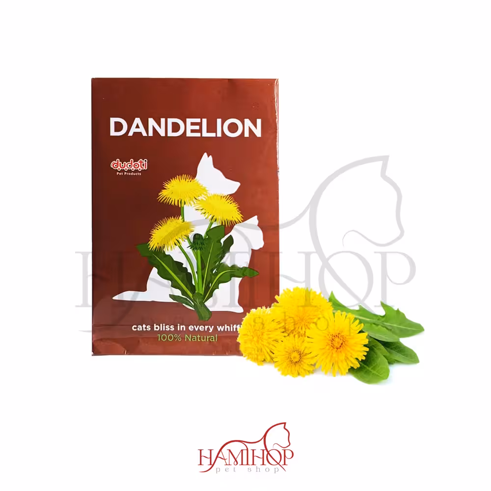 پودر علف گربه دودوتی مدل گل DANDELION دندلیون 10 گرمی