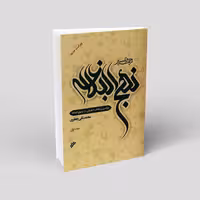 ترجمه و تفسیر نهج البلاغه (11 جلدی)