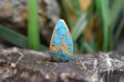 فیروزه نیشابور