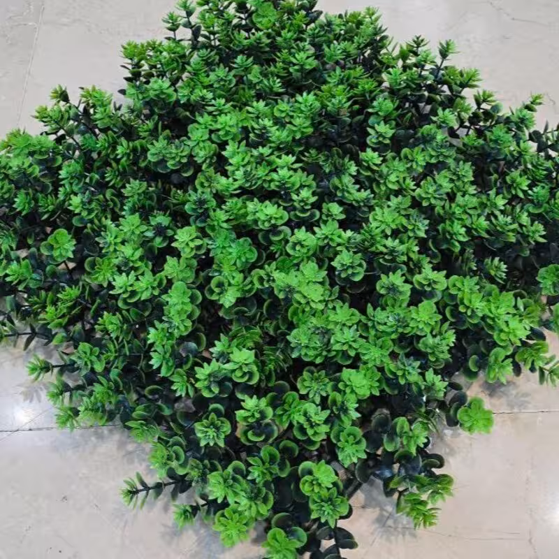 گرین وال (کد 22) ابعاد 50در50 cm، گامان(دیوارسبز) (پس کرایه)