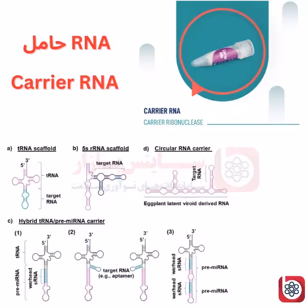 RNA حامل (Carrier RNA)