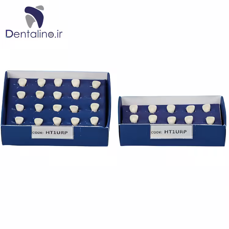 ست دندان تمرینی اطفال