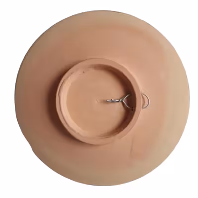 بشقاب دیوارکوب سفالی مدل لاو