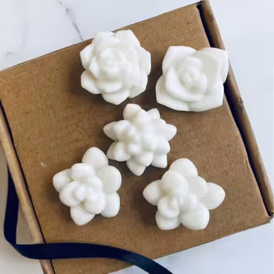 قالب شمع مدل کاکتوس مینیاتوری 5 تایی