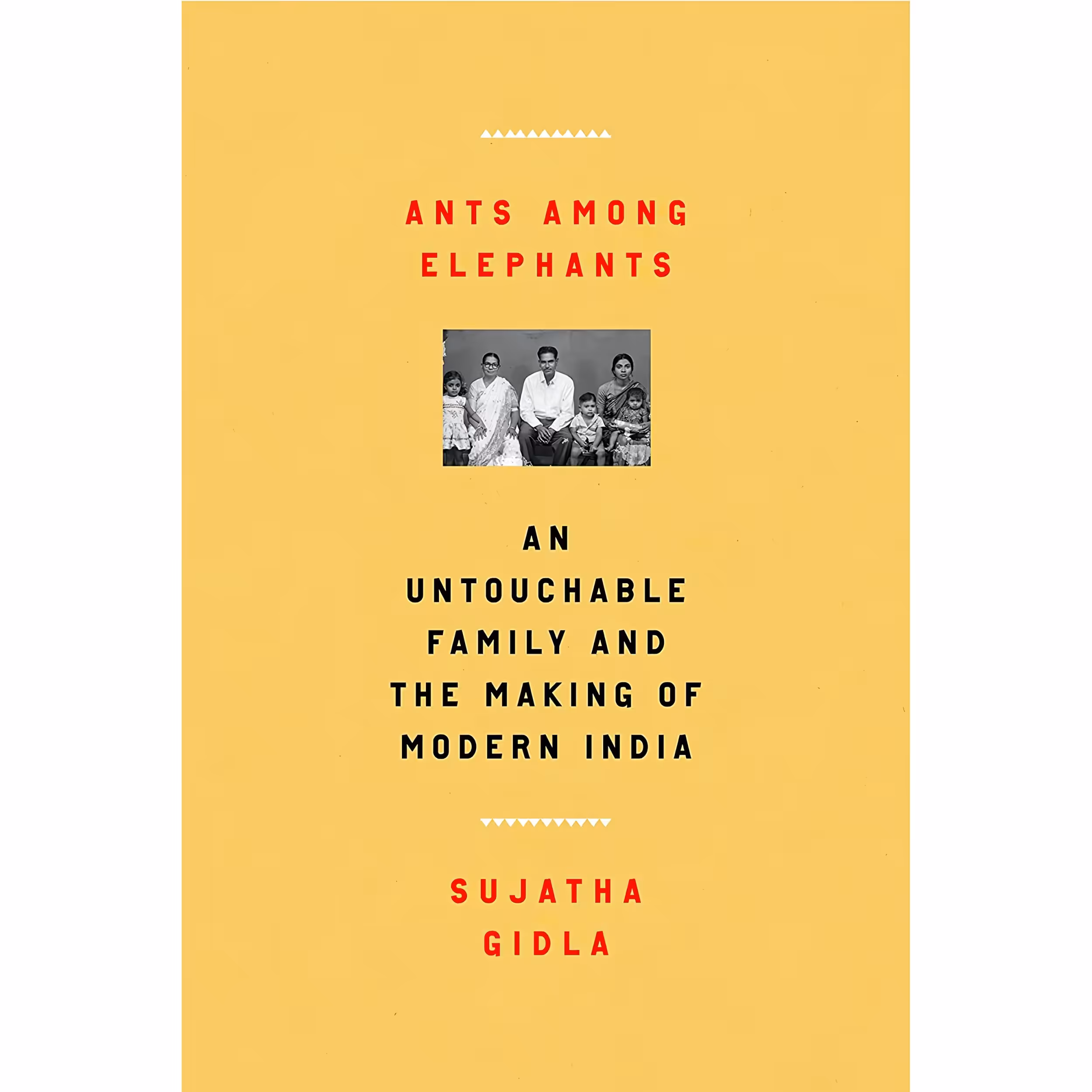 کتاب Ants Among Elephants اثر Sujatha Gidla انتشارات Farrar, Straus and Giroux