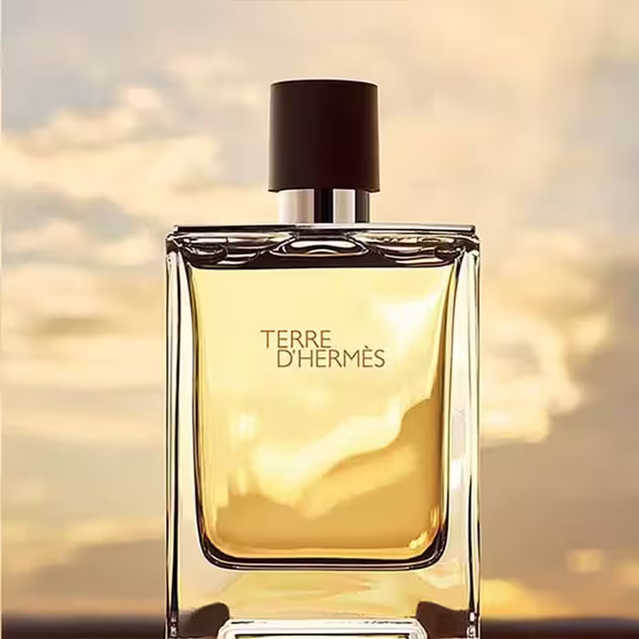 عطر ادکلن هرمس تق هرمس اصل | Hermes Terre d’Hermes 100ml