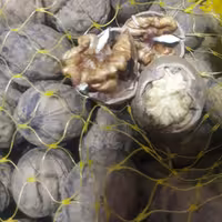 گردو درجه یک رفسنجان 1کیلو گرمی