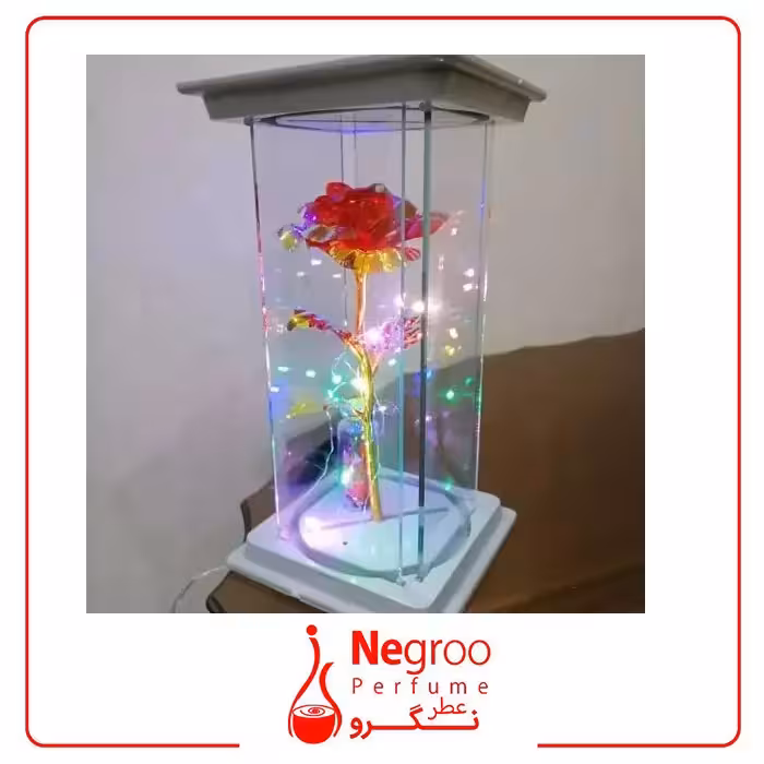 رز جاودان گلکسی کریستالی باکس شیشه ای و ریسه مهتابی اورجینال