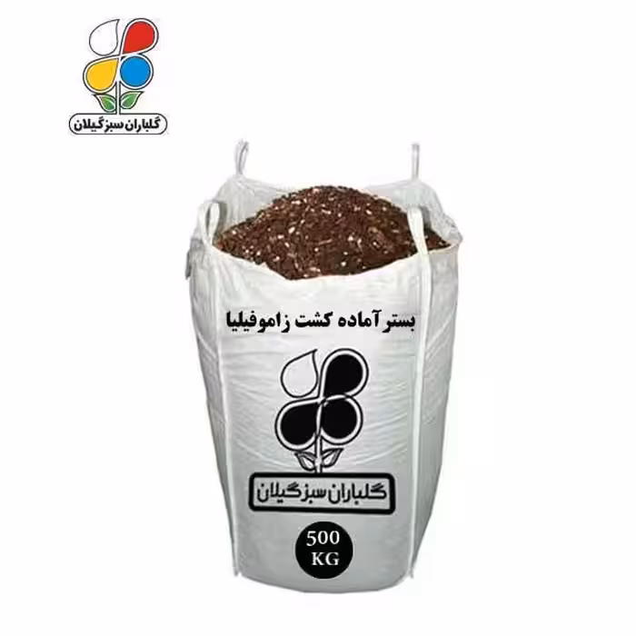 بستر آماده کشت زاموفیلیا 500 کیلویی