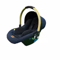 کریر نوزادی ریچ کیدز