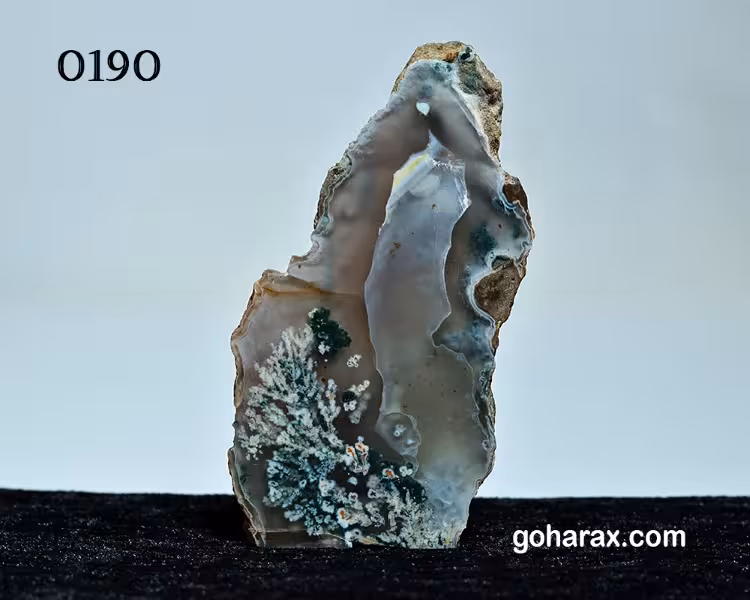 سنگ زینتی عقیق شجر بهاره