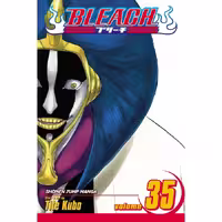 Bleach v35