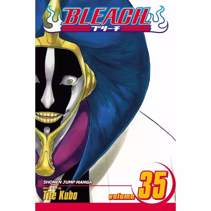 Bleach v35