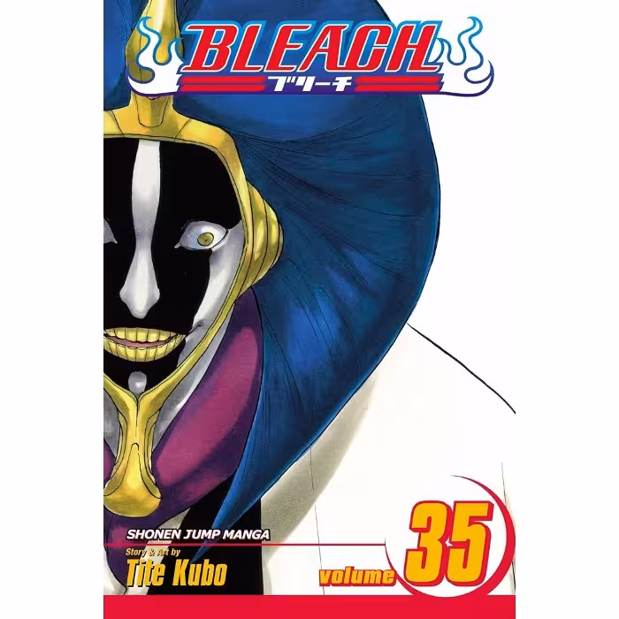 Bleach v35