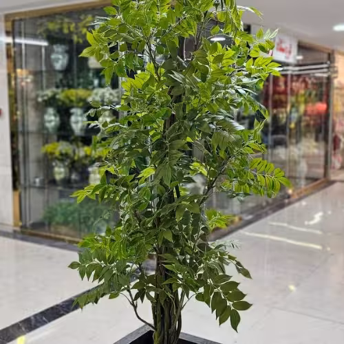 درختچه اقاقیا مصنوعی