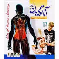 آناتومی بدن انسان-سبا-10000