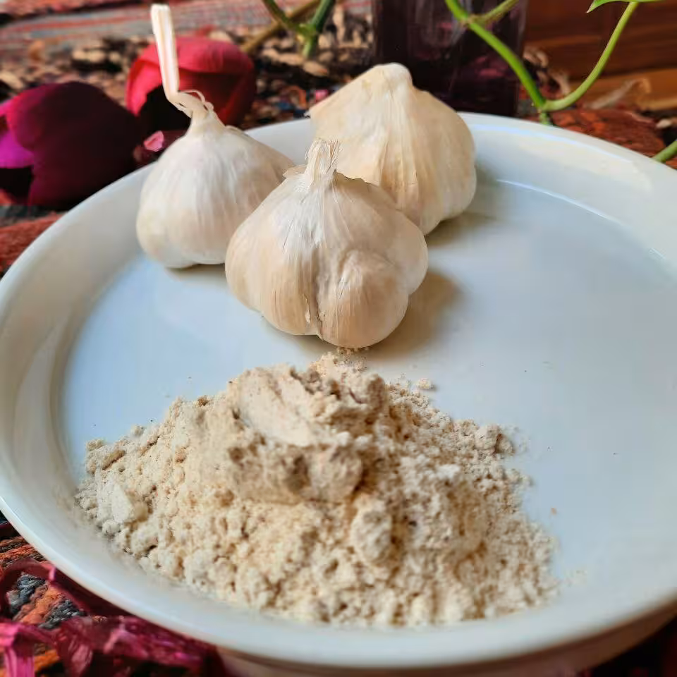 پودر سیر نوغانی خالص و معطر در بسته بندی 100 گرمی