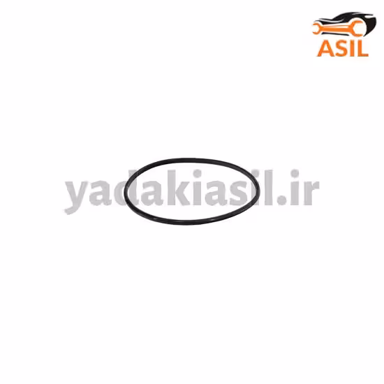 اورینگ باک 206 ایساکو